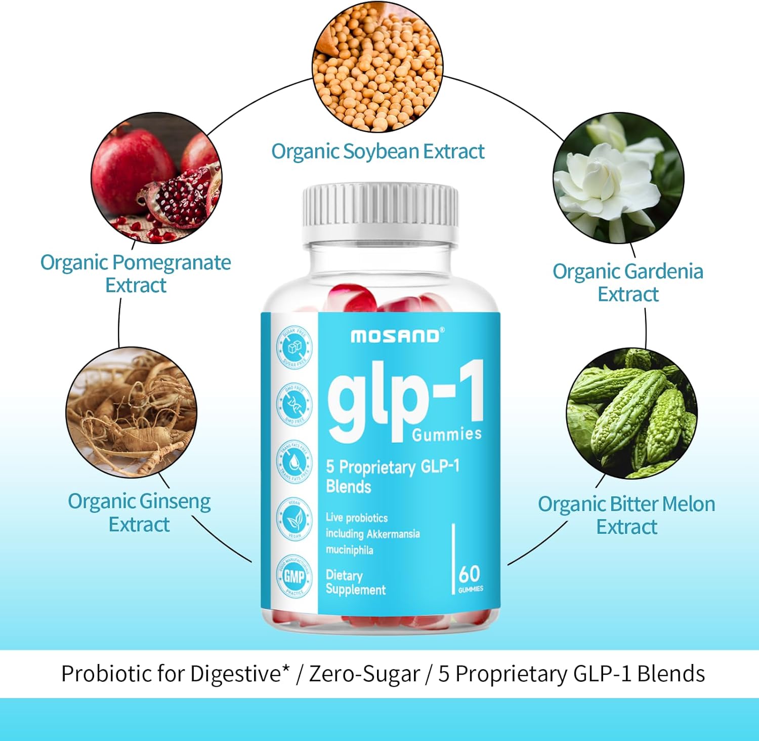 Akkermansia Probiotic Gummies with Berberine for Gut Health - 60 Strawberry Flavored Gummies, No Added Sugar