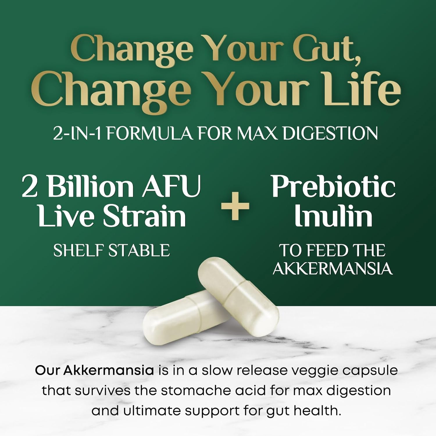 Akkermansia Probiotic Supplement with Prebiotic Fiber for Digestive Health - 120 Capsules