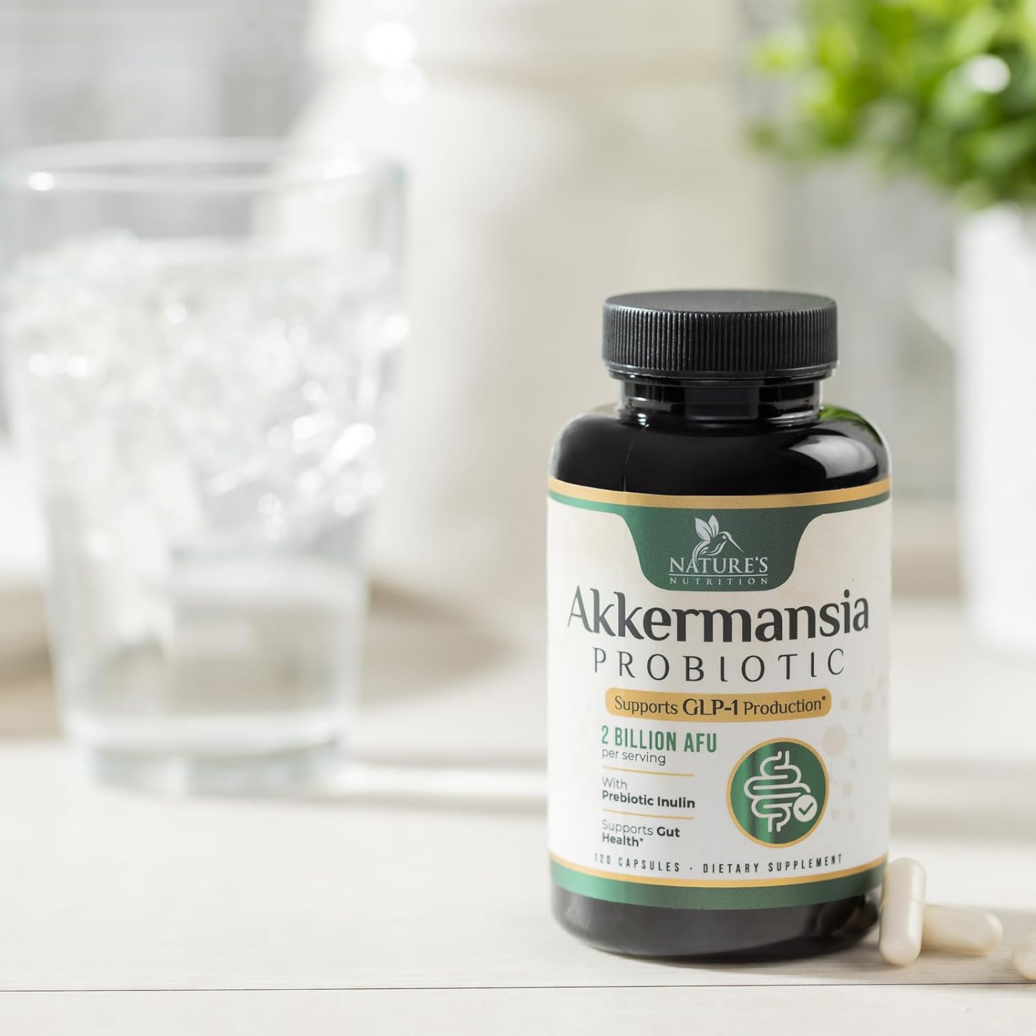 Akkermansia Probiotic Supplement with Prebiotic Fiber for Digestive Health - 120 Capsules
