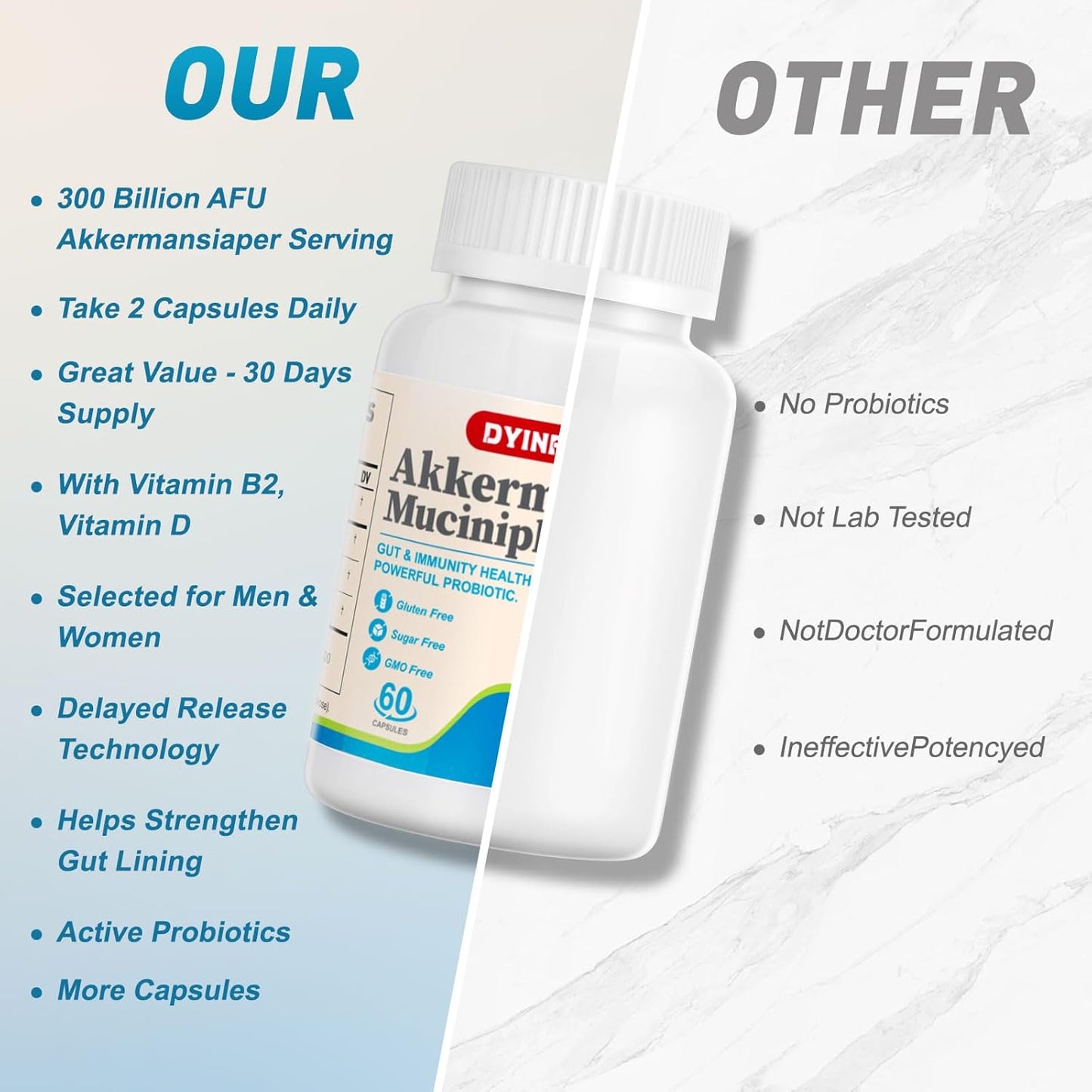 Akkermansia Probiotic with 300 Billion AFU for Digestive & Immune Health - 60 Capsules