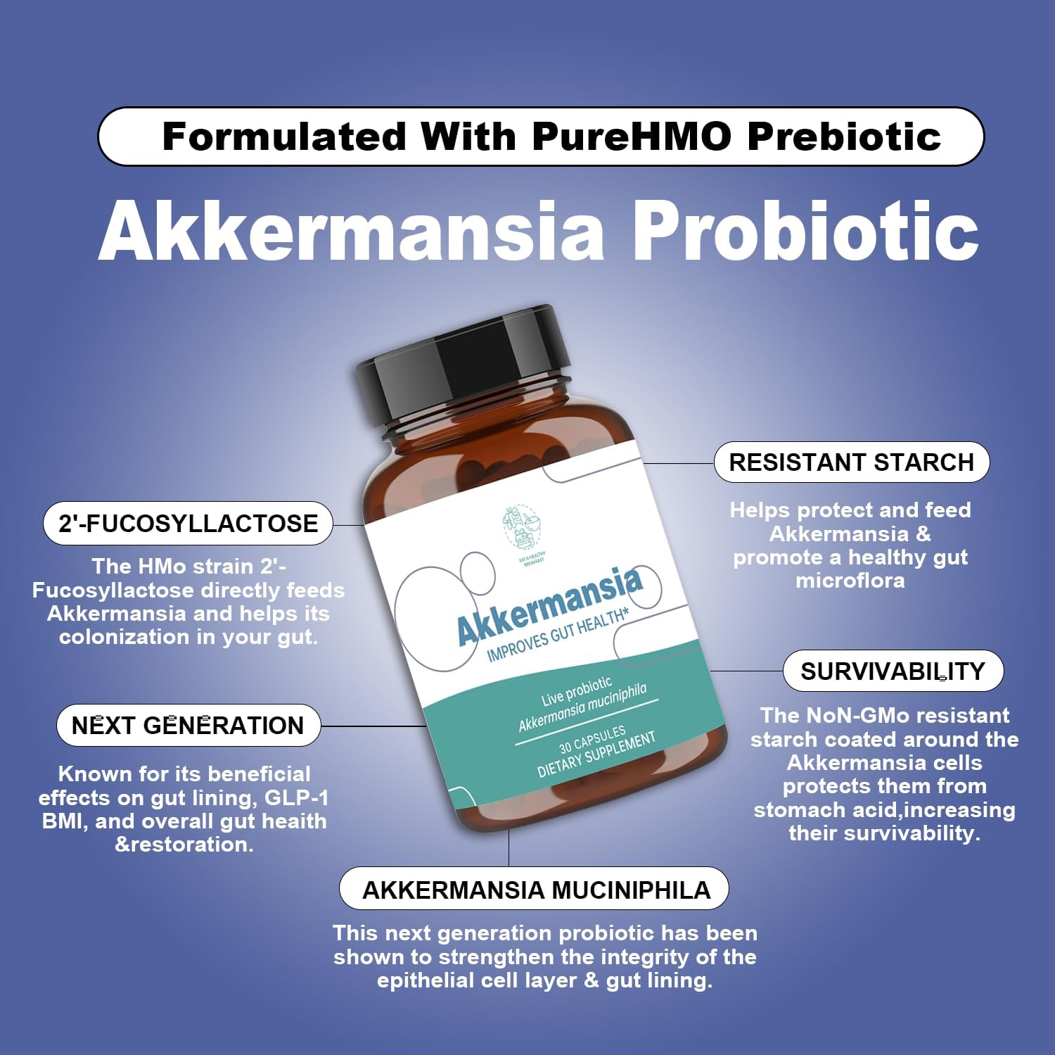 Akkermansia Probiotic with Prebiotic Fiber - Boosts GLP-1 Levels, Supports Gut Health & Weight Loss - 30 Capsules