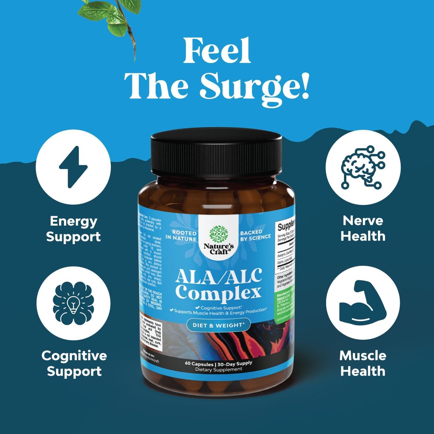 Alc and Alpha Lipoic Acid Antioxidant Supplements for Skin Health and Weight Loss - Essential Fatty Acids for Metabolism Boost