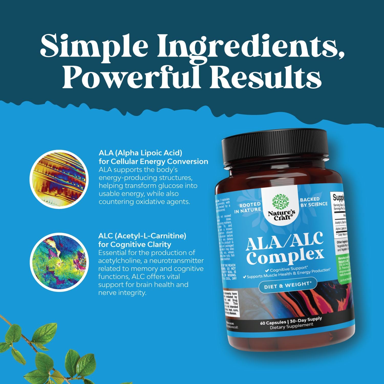 Alc and Alpha Lipoic Acid Antioxidant Supplements for Skin Health and Weight Loss - Essential Fatty Acids for Metabolism Boost