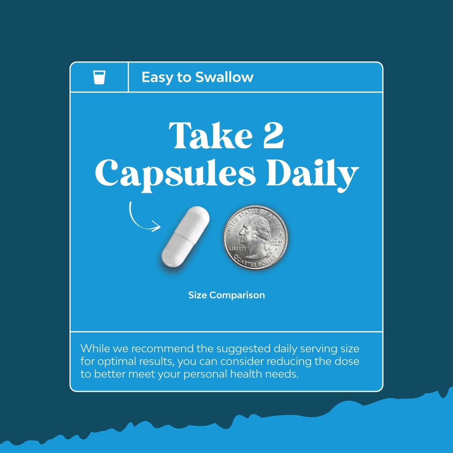 Alc and Alpha Lipoic Acid Antioxidant Supplements for Skin Health and Weight Loss - Essential Fatty Acids for Metabolism Boost