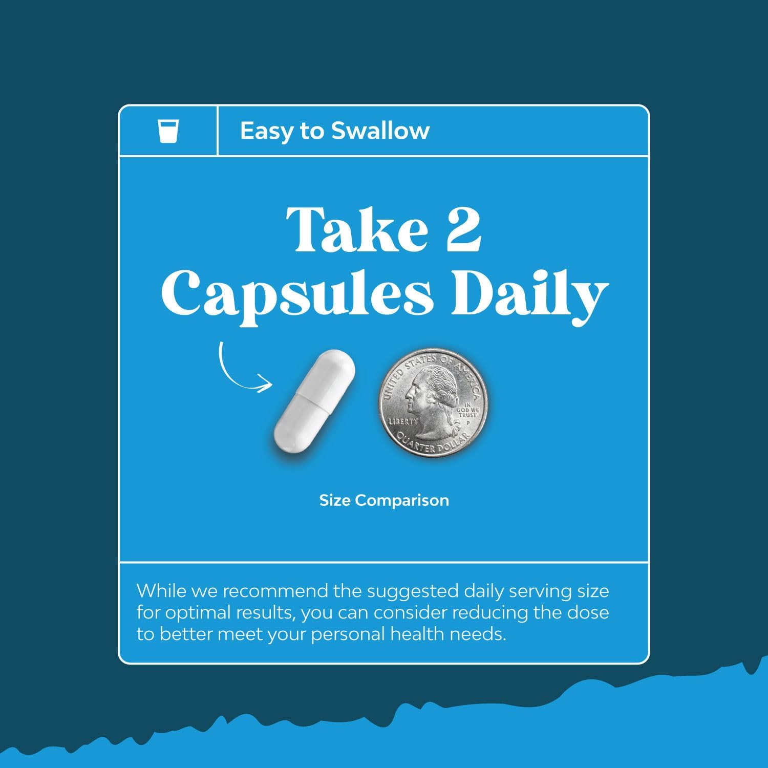 Alc and Alpha Lipoic Acid Antioxidant Supplements for Skin Health and Weight Loss - Essential Fatty Acids for Metabolism Boost