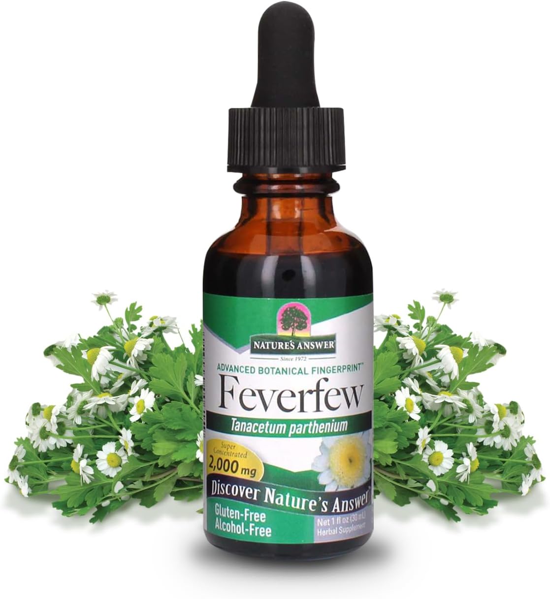 Alcohol-Free Feverfew Extract 2000mg for Well-Being | Source of Parthenolide | 1oz Bottle | No Artificial Additives
