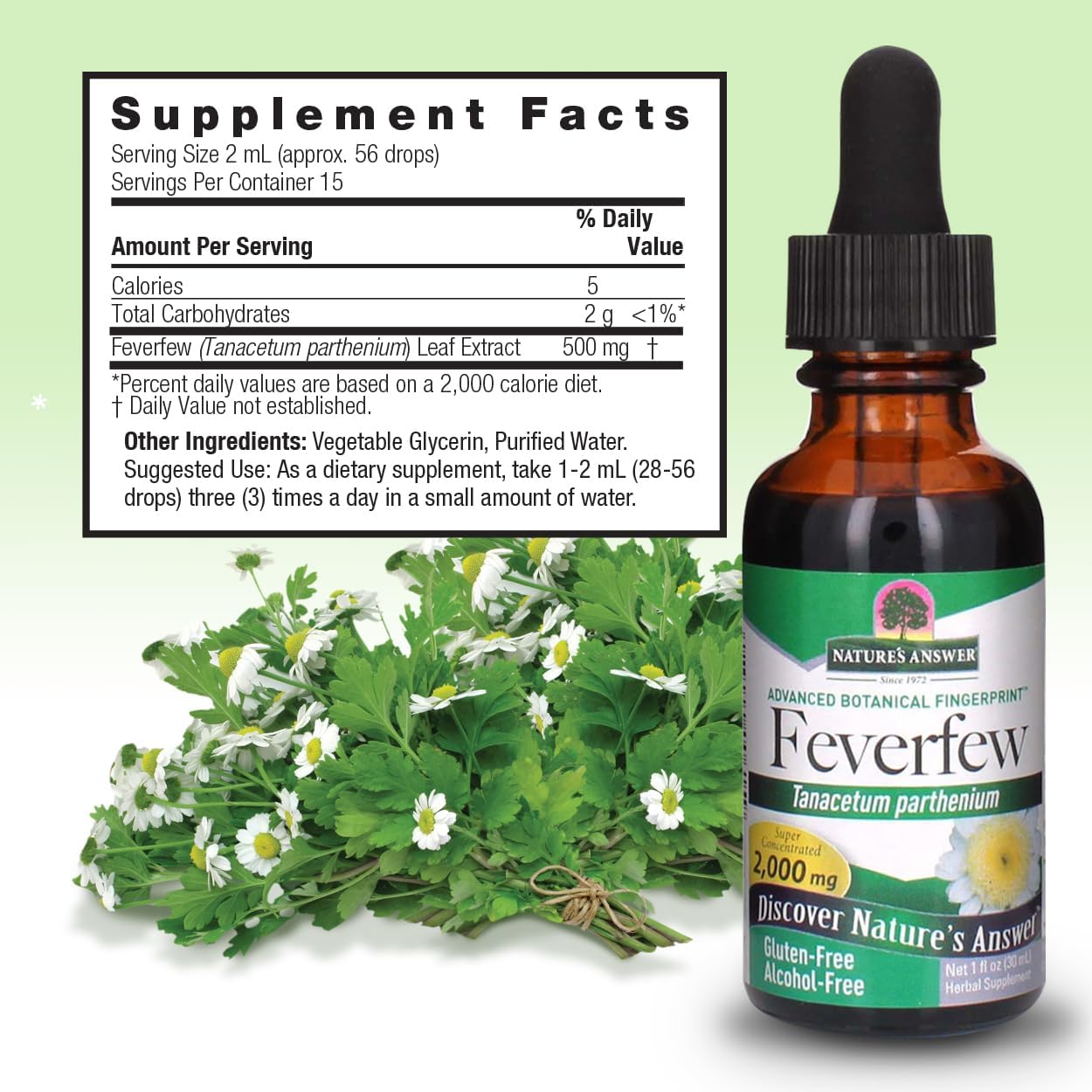 Alcohol-Free Feverfew Extract 2000mg for Well-Being | Source of Parthenolide | 1oz Bottle | No Artificial Additives