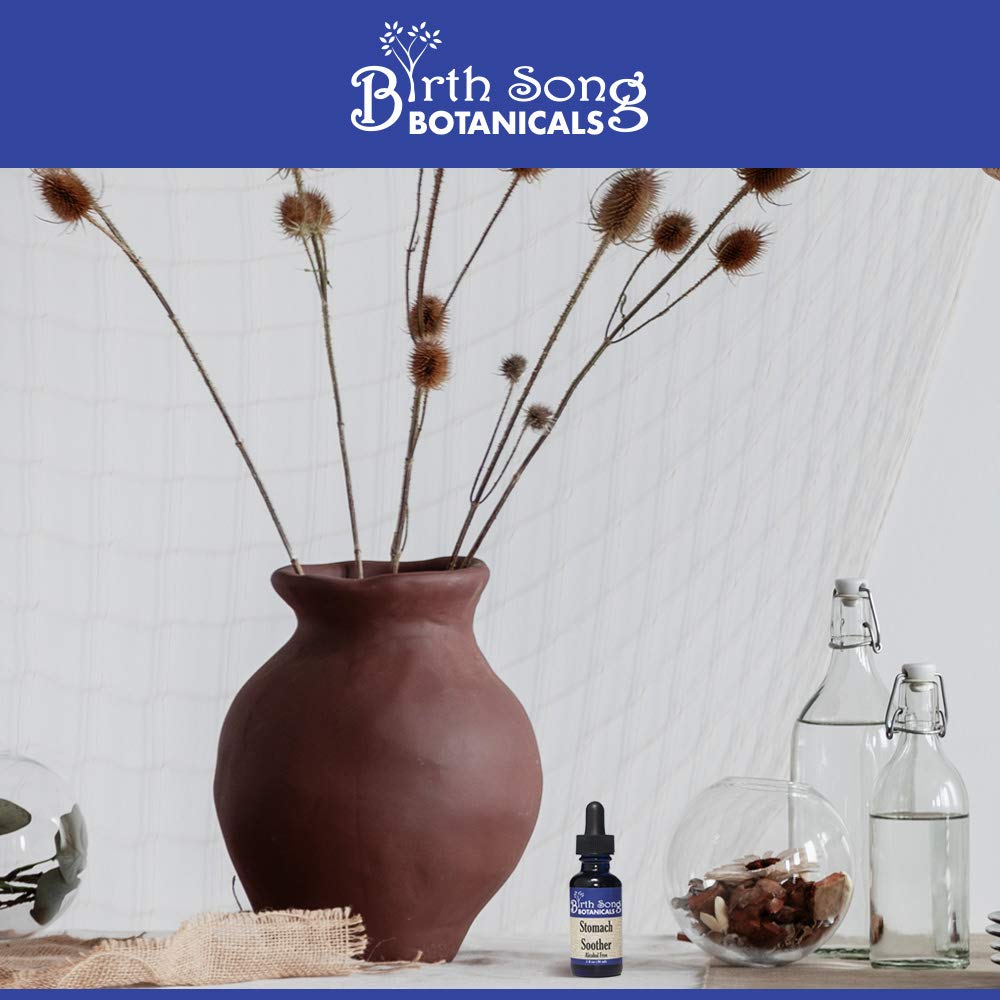 Alcohol-Free Herbal Ginger Root Stomach Soother Tincture by Birth Song Botanicals - 1oz Bottle