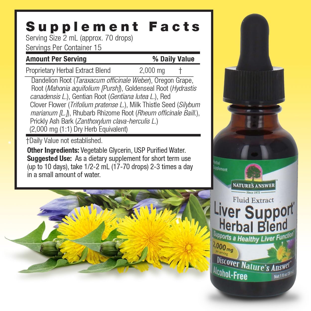 Alcohol-Free Liver Support 2000mg 1oz | Promotes Liver Function | Natural Cleanser & Detoxifier | Overall Well-Being Support