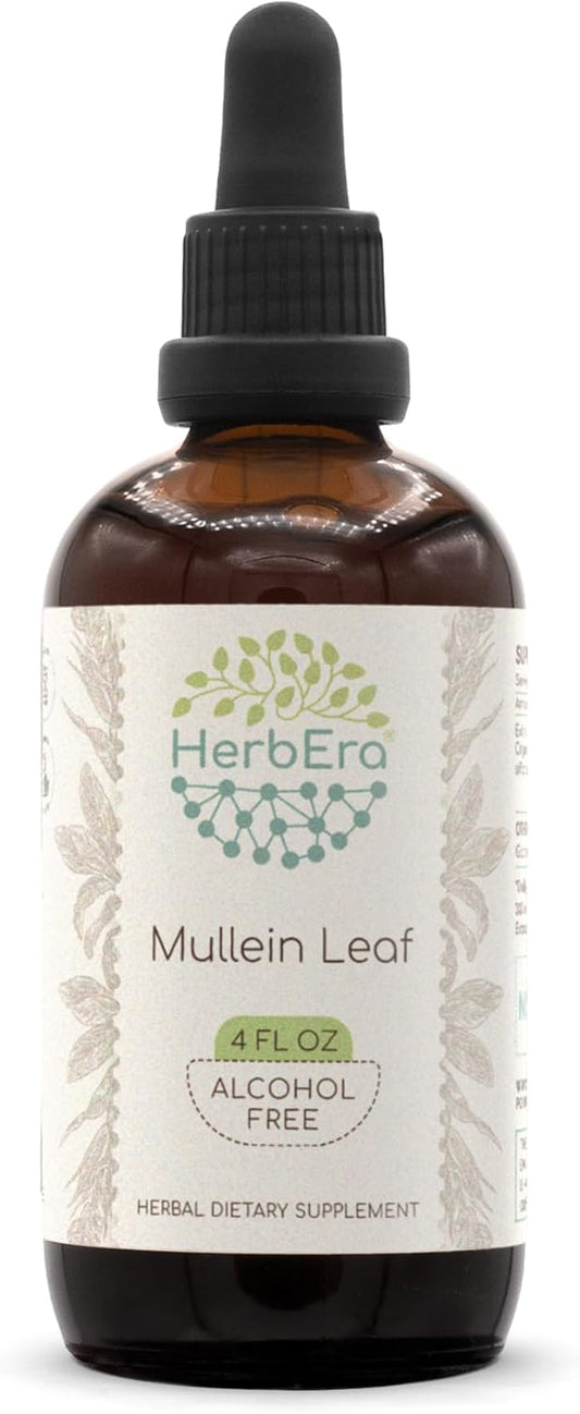 Alcohol-Free Mullein Leaf Extract Tincture - HerbEra Super-Concentrated Herbal Supplement (4 fl oz)