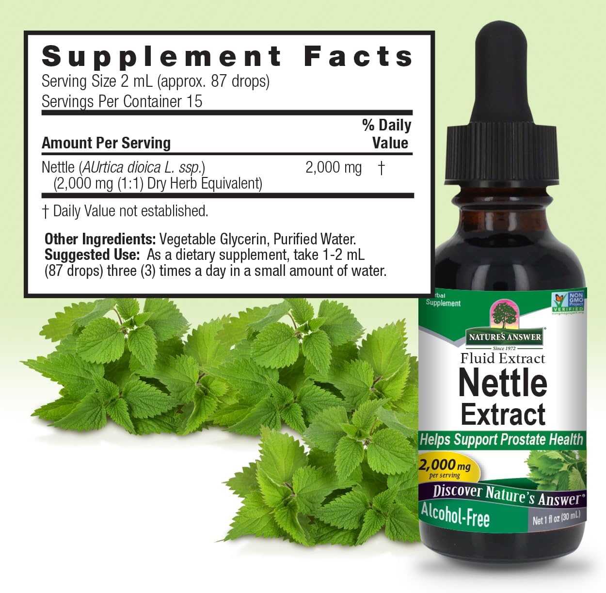 Alcohol-Free Nettle Leaf Extract 2000mg for Prostate Support - Concentrated Dark Green Herbal Supplement - 1oz, Non-GMO, Kosher, Gluten-Free