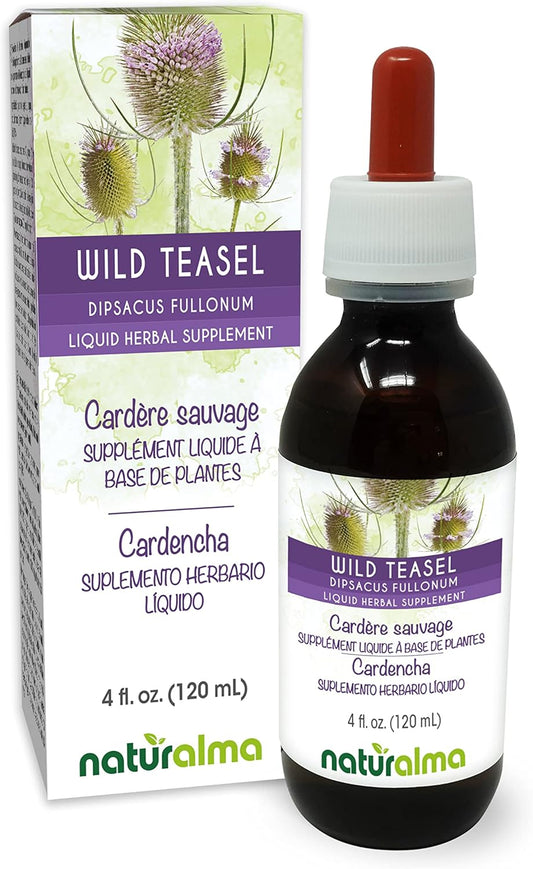 Alcohol-Free Wild Teasel Root Tincture - 4 fl oz Liquid Extract - Herbal Supplement - Vegan - Dipsacus fullonum or D. sylvestris