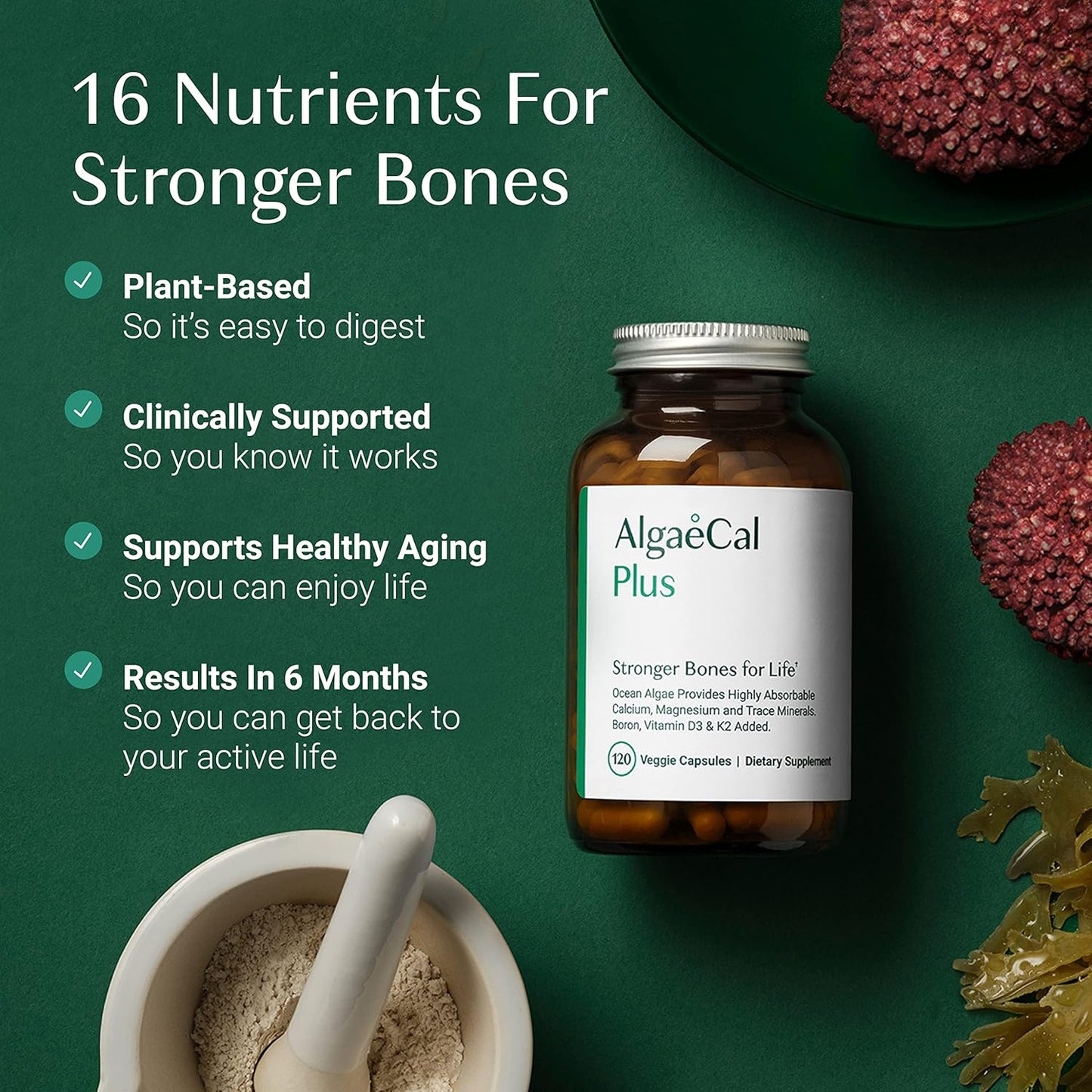 AlgaeCal Plus Bundle: Red Algae Calcium with Vitamin D3 & 16 Nutrients for Bone Health & Immune Support