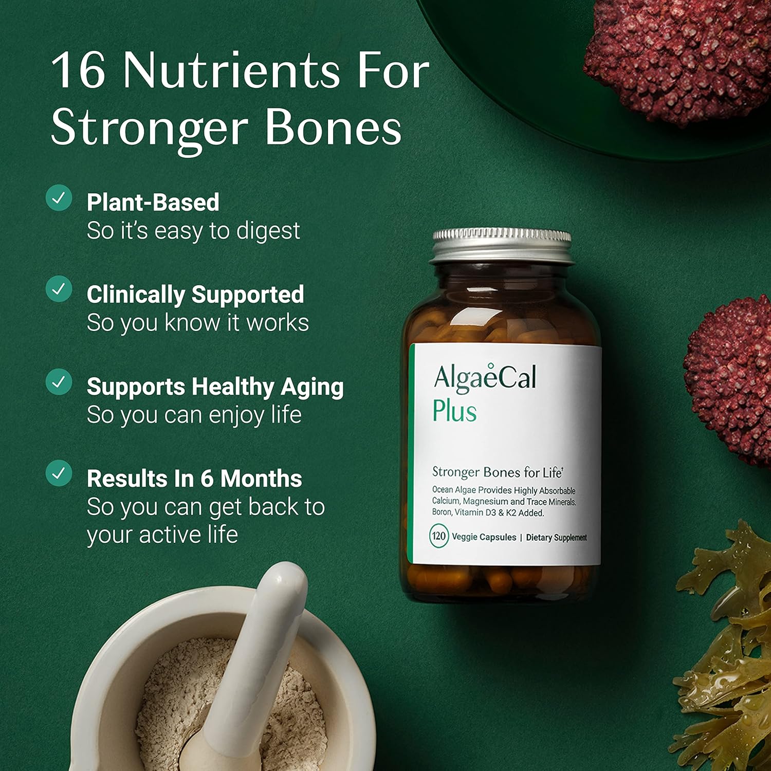 AlgaeCal Plus Bundle: Red Algae Calcium with Vitamin D3 & 16 Nutrients for Bone Health & Immune Support