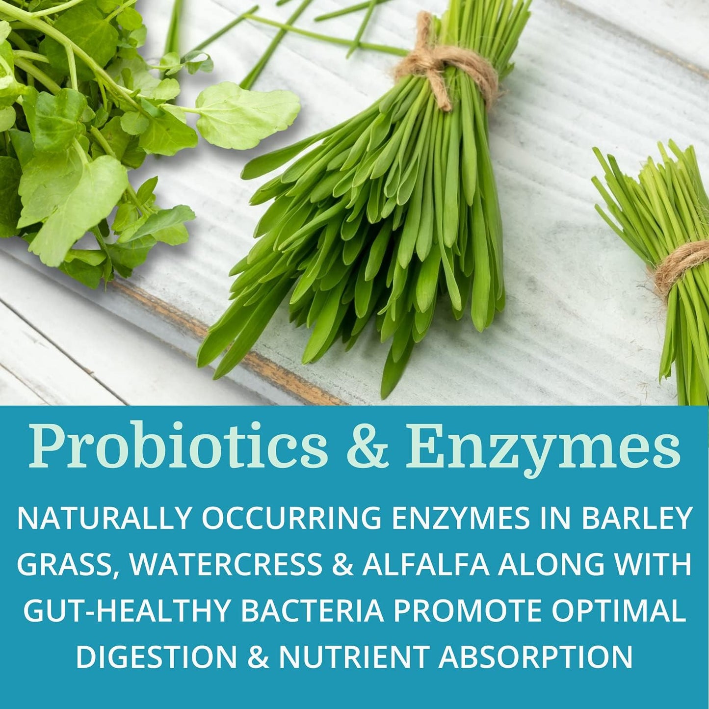 Alka•Cleanse Herbal Detox Colon Cleanse & Digestive Formula - Psyllium Husk, Probiotics, Enzymes & Herbs (2 Pack)