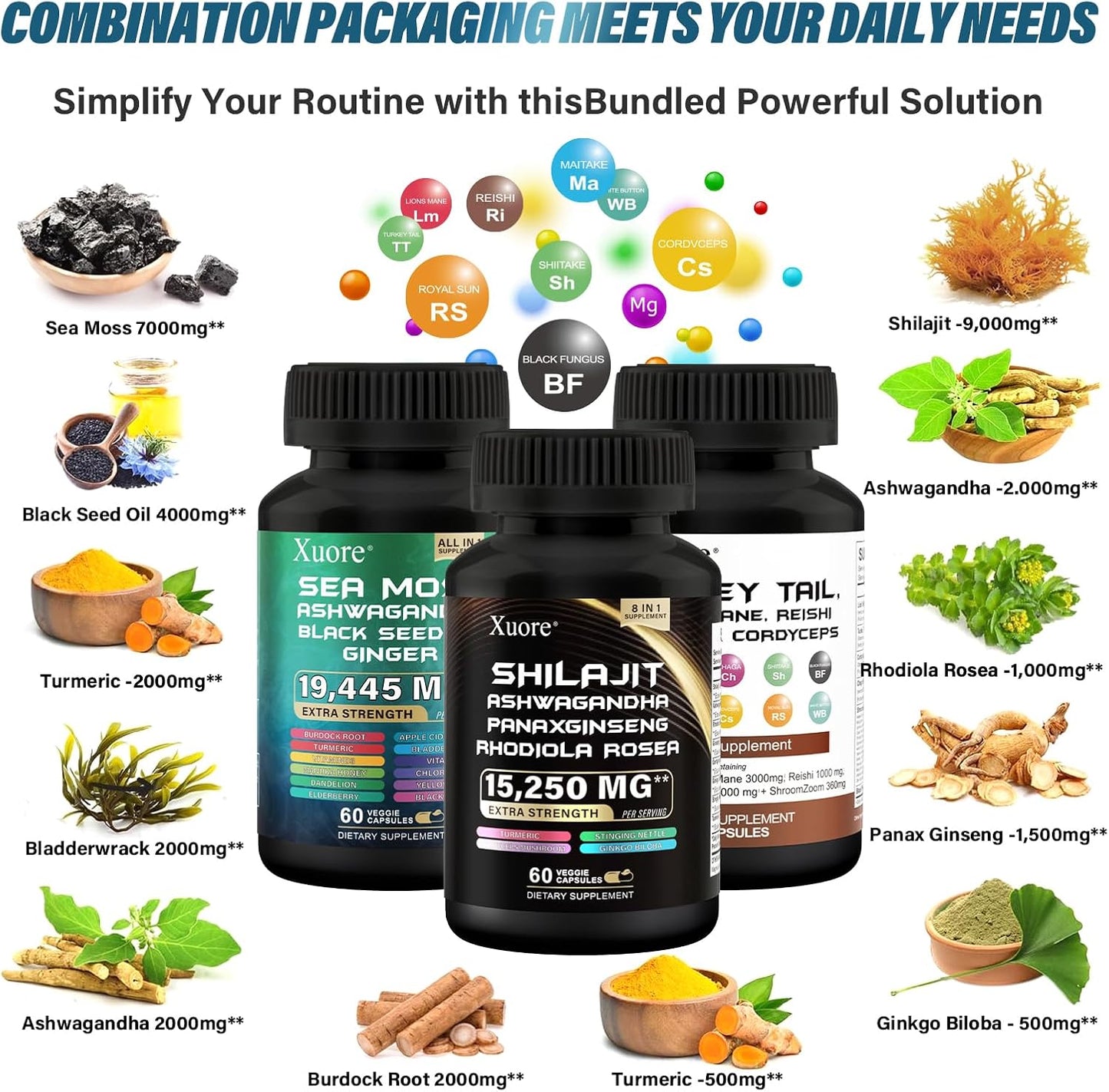 All-in-One Mushroom & Herb Supplement with Shilajit, Sea Moss, Black Seed Oil, Lions Mane, Turkey Tail, Reishi, Cordyceps, Chaga, Ashwagandha, Ginger, Rhodiola Rosea & Panax Ginseng