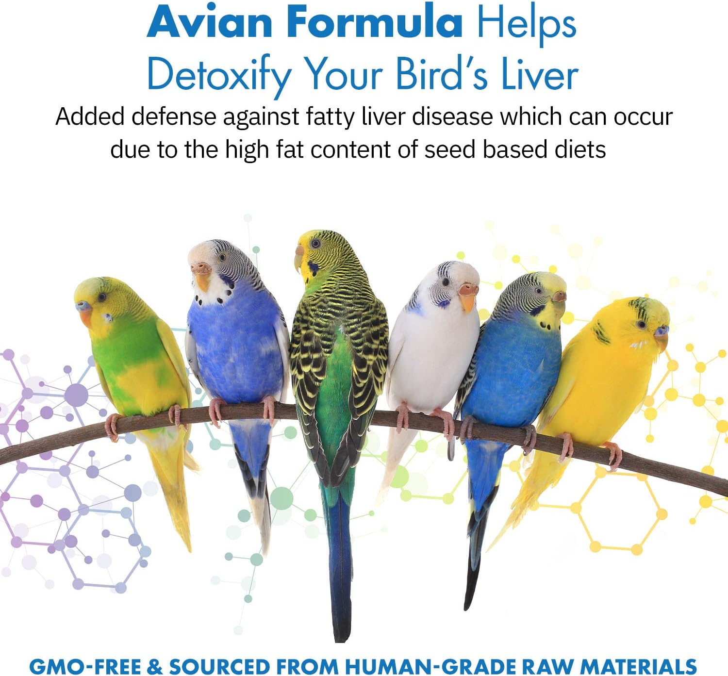 All-Natural Avian Liver Support Supplement for Parrots - Milk Thistle & Dandelion Root Formula (120 Servings)