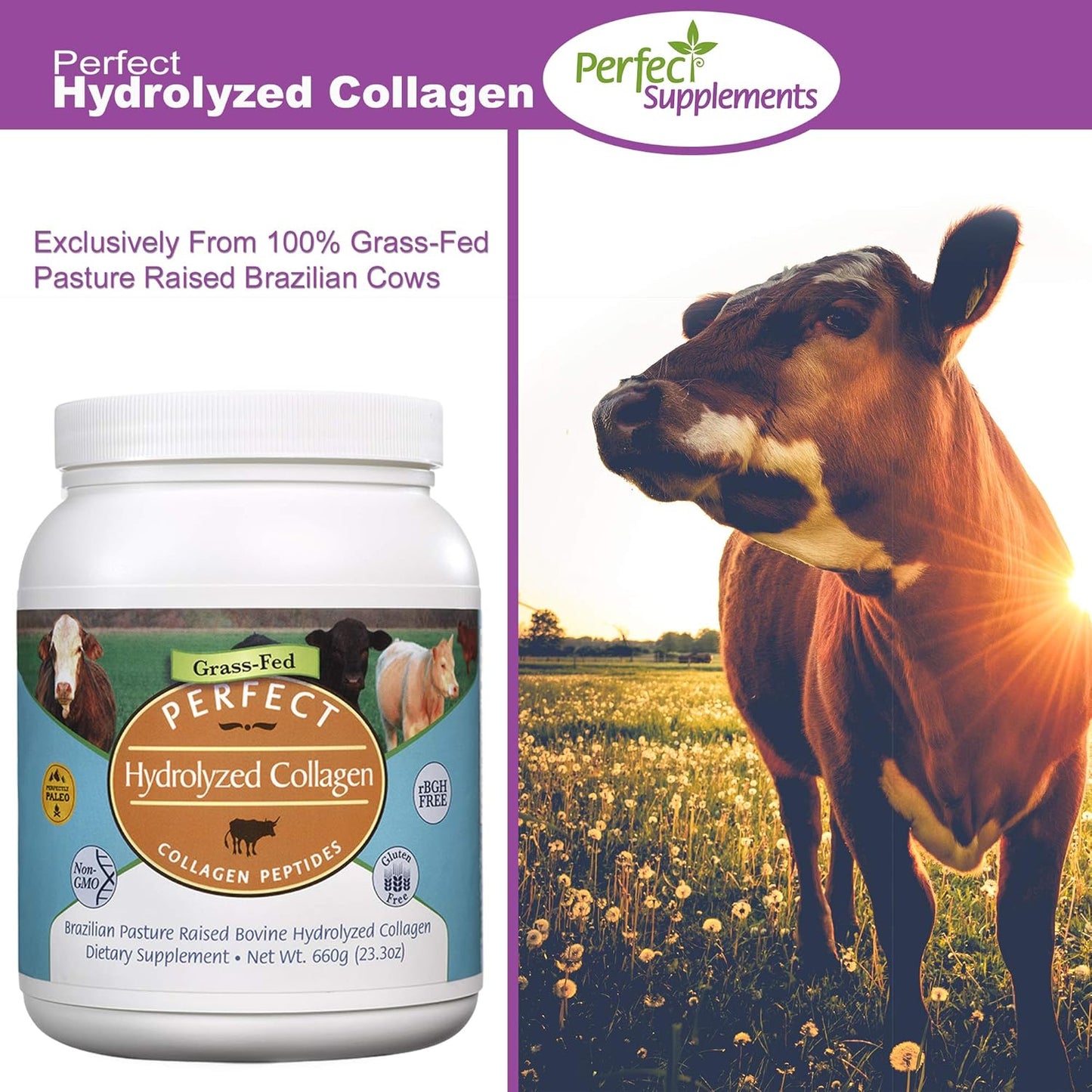All Natural Brazilian Pasture Raised Hydrolyzed Collagen Powder 660g - Promotes Healthy Skin - 2 Pack