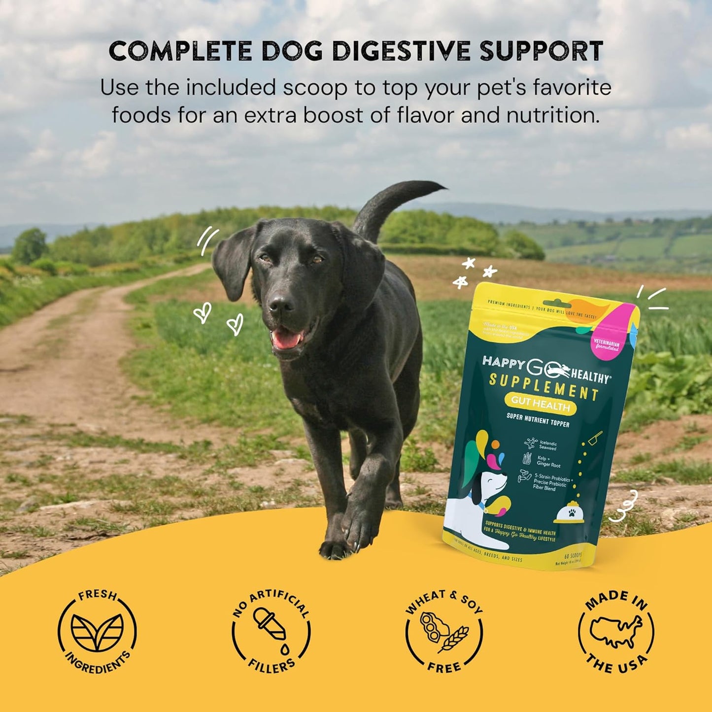 All Natural Dog Gut Health Probiotics Supplement | Enhances Digestive Health & Immune Support | Tasty Kibble Topper | 60 Count Pack