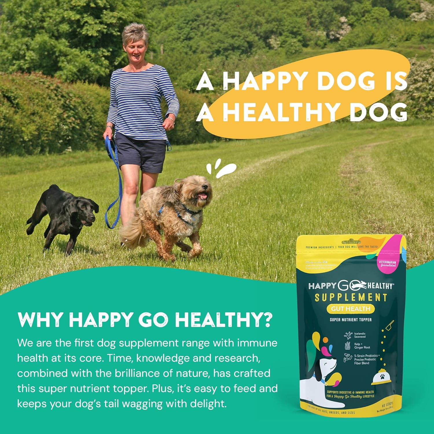 All Natural Dog Gut Health Probiotics Supplement | Enhances Digestive Health & Immune Support | Tasty Kibble Topper | 60 Count Pack