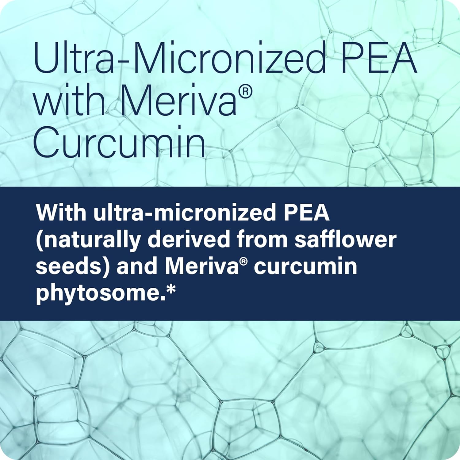 All-Natural Enzyme Science Pea+ Capsules with Meriva Curcumin - Supports Nervous, Immune, & Muscular Systems - 60 Count