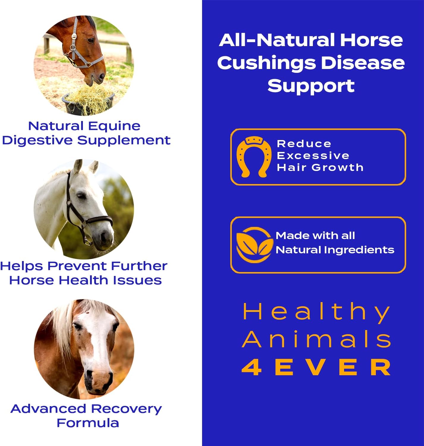 All-Natural Equine Digestive Supplement for Cushing’s Disease - Prevent Horse Health Issues - Homeopathic & Effective