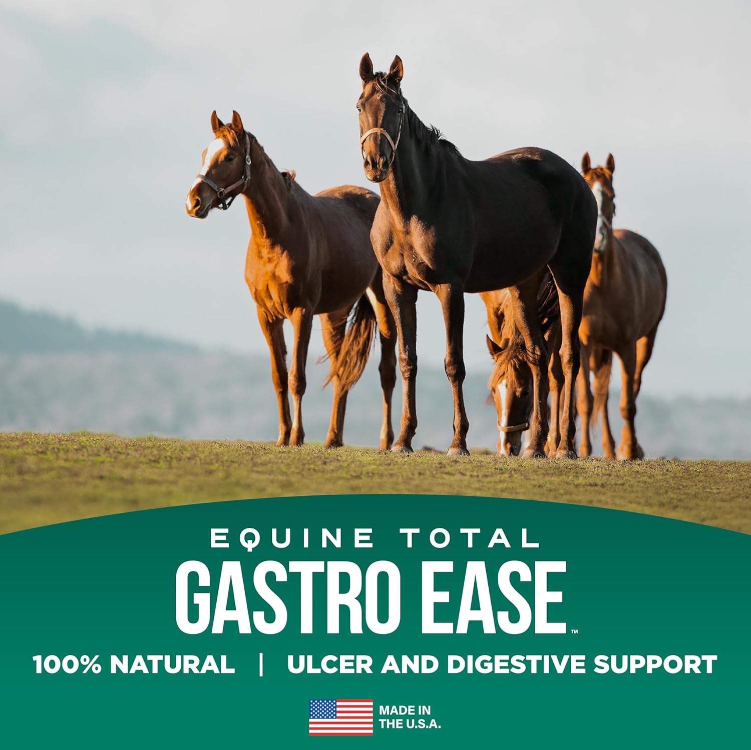 All-Natural Equine Digestive Supplement with Bovine Colostrum - Prevents Ulcers and Promotes Digestive Health - Calming Formula - Made in USA