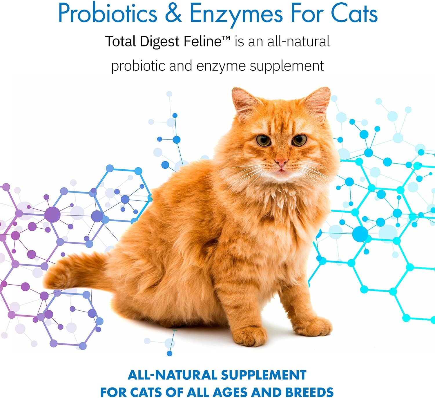 All-Natural Feline Probiotics and Enzymes Dietary Supplement for Digestive Health (120 Servings) by Equa Holistics Total Digest™