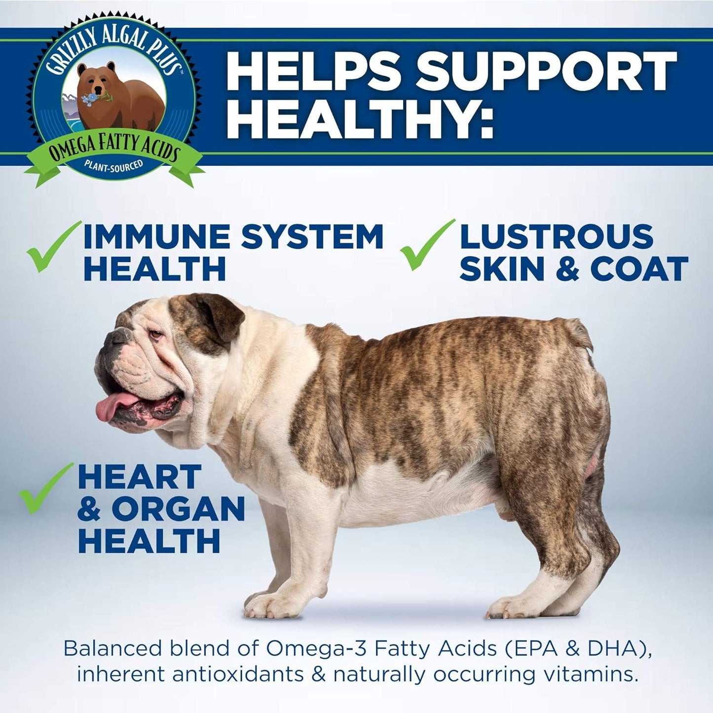 All-Natural Grizzly Algal Plus Omega Fatty Acids Supplement for Dogs & Cats - Vegan, Made in USA, 16 Fl Oz