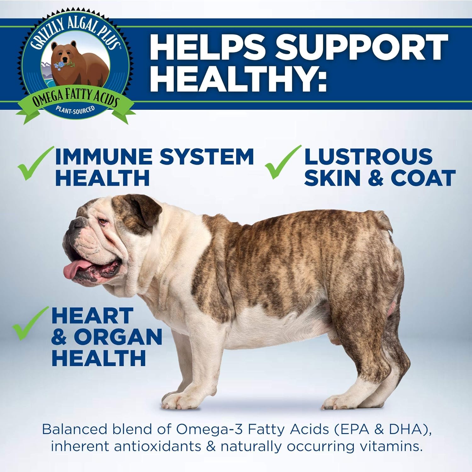 All-Natural Grizzly Algal Plus Omega Fatty Acids Supplement for Dogs & Cats - Vegan, Made in USA, 16 Fl Oz