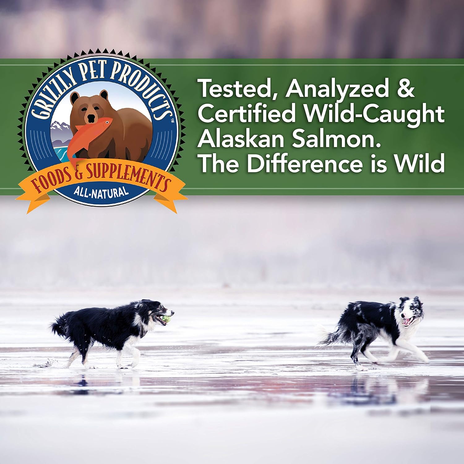 All-Natural Grizzly Algal Plus Omega Fatty Acids Supplement for Dogs & Cats - Vegan, Made in USA, 16 Fl Oz