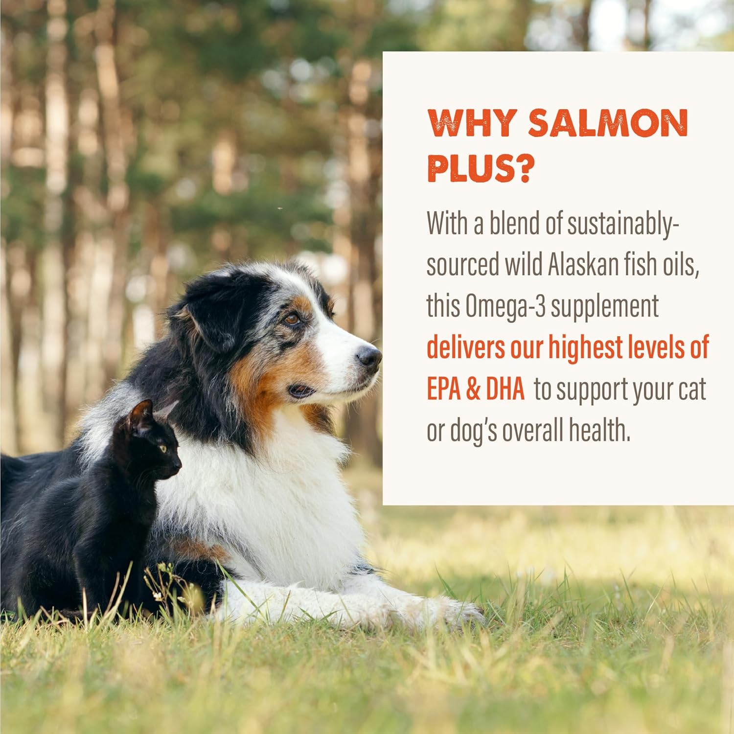All-Natural Grizzly Wild Alaskan Salmon Oil Dog Food Supplement - Omega 3 Fatty Acids, 8 oz