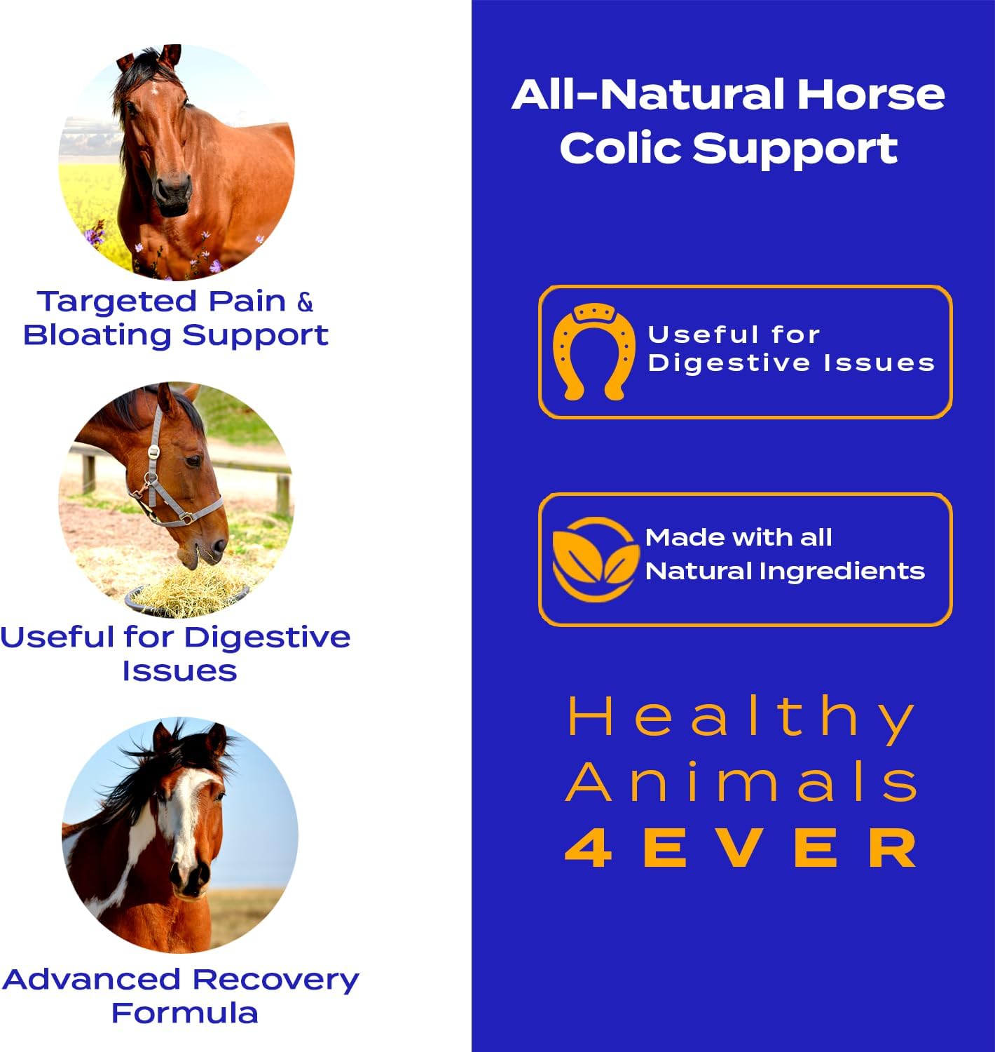 All-Natural Horse Colic Support Tablets - Reduces Abdominal Pain & Stomach Issues - Homeopathic & Effective - 300 Count