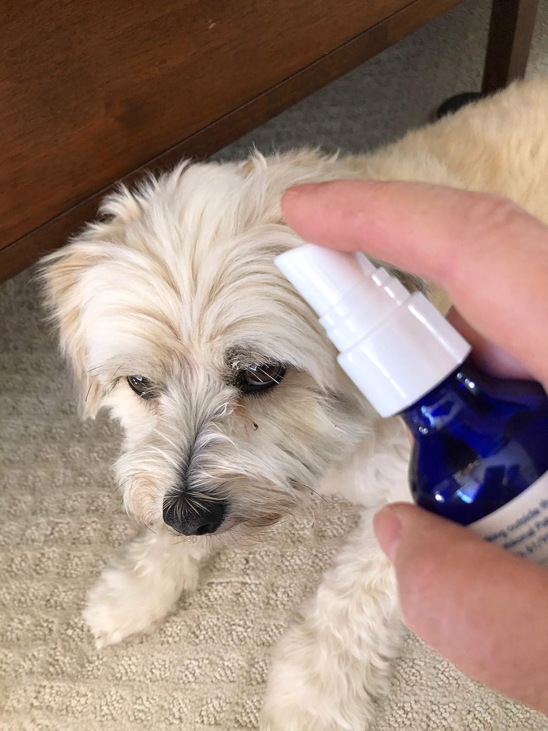 All-Natural Liquid Pet Supplement for Faster Hair Regrowth Post-Surgery or Illness - Multivitamin Spray for Fast Results