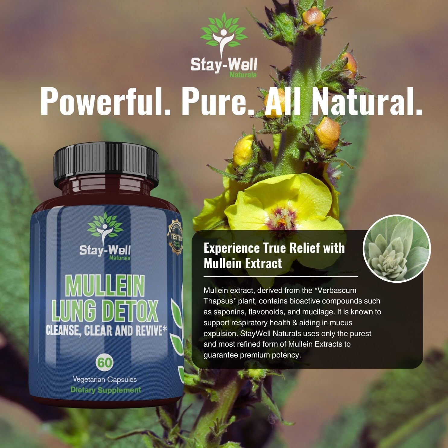 All-Natural Mullein Lung Detox Capsules for Smokers, Supports Healthy Lungs and Clear Breathing, Herbal Cleanse with Proven Nutrients, 60 Caps
