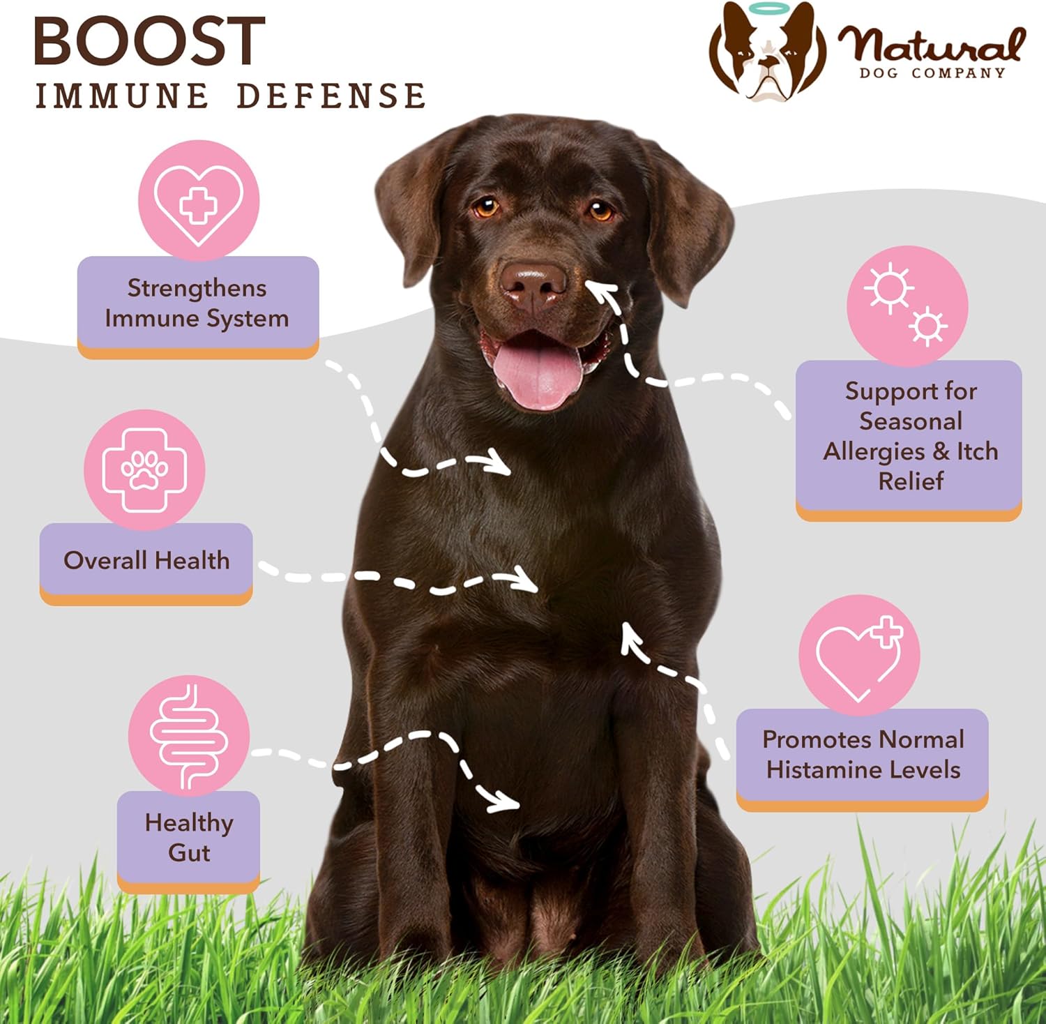 Aller-Immune and Skin Soother Bundle for Dogs: Natural Allergy and Itch Relief Combo, Seasonal Symptom Relief, Probiotic & Fish Oil