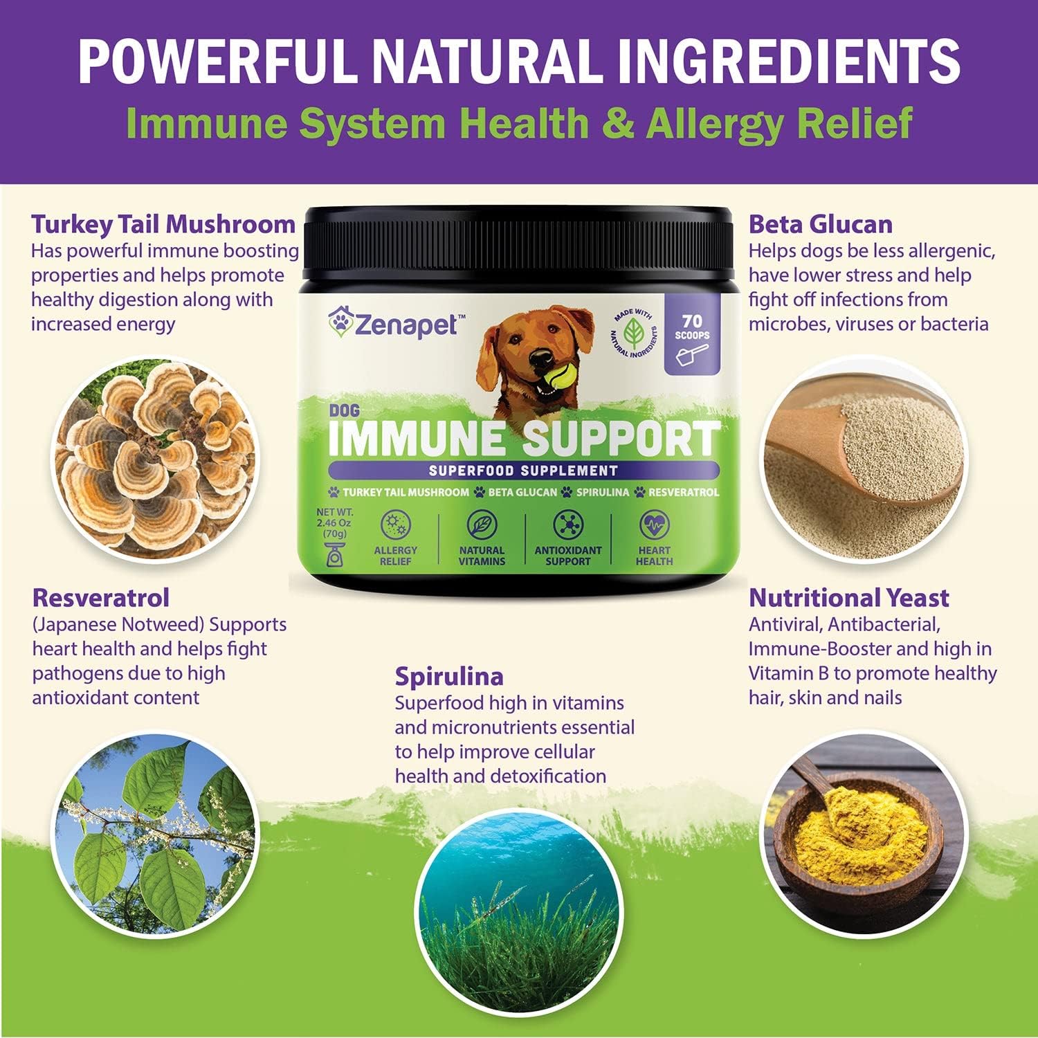 Allergy Immune Support Supplement for Dogs - Human-Grade Superfood with Turkey Tail Mushroom, Prebiotics, for Gut Health, Itchy Skin, Seasonal Allergies & Yeast - Small to Large Breeds