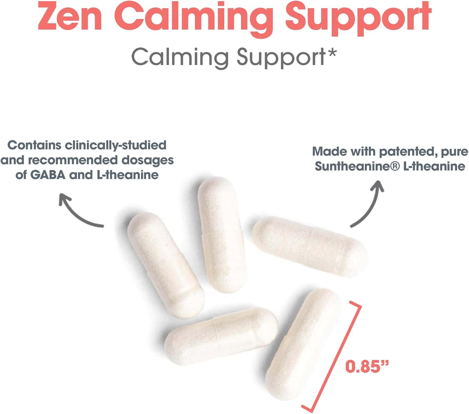 Allergy Research Group 200mg of Zen Supplement for Calmness Support - GABA, L-Theanine, Day/Night, 120 Vegetarian Capsules