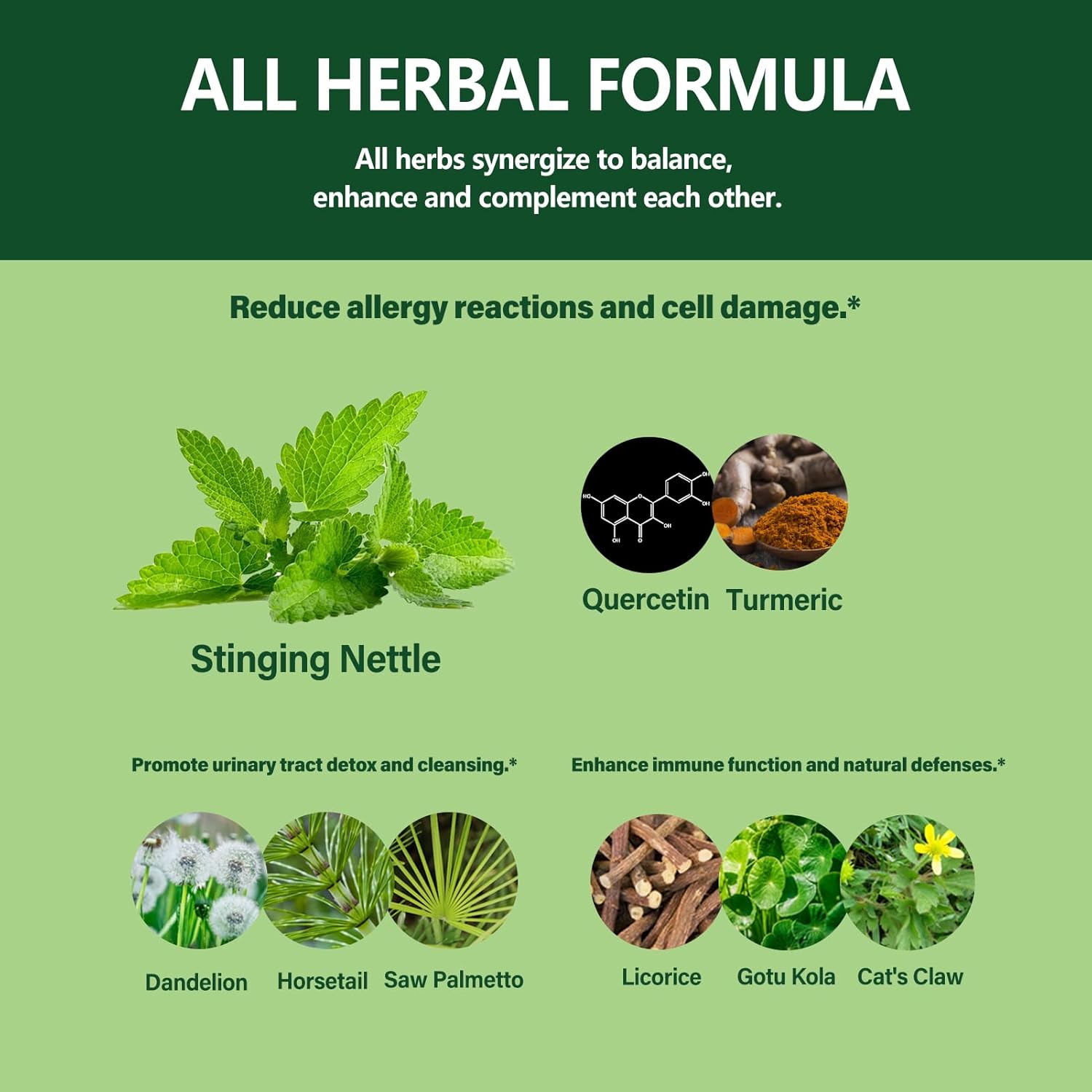 Allergy Support Herbal Drops with Stinging Nettle, Quercetin, Turmeric - 2oz for Urinary Health & Immunity Boost