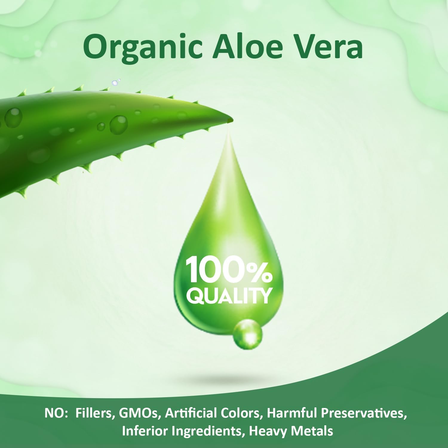 Aloe Vera Gel Softgel Capsules for Gut Health Support - 120 Count Supplement for Digestive Comfort and Stomach Acid Buffer