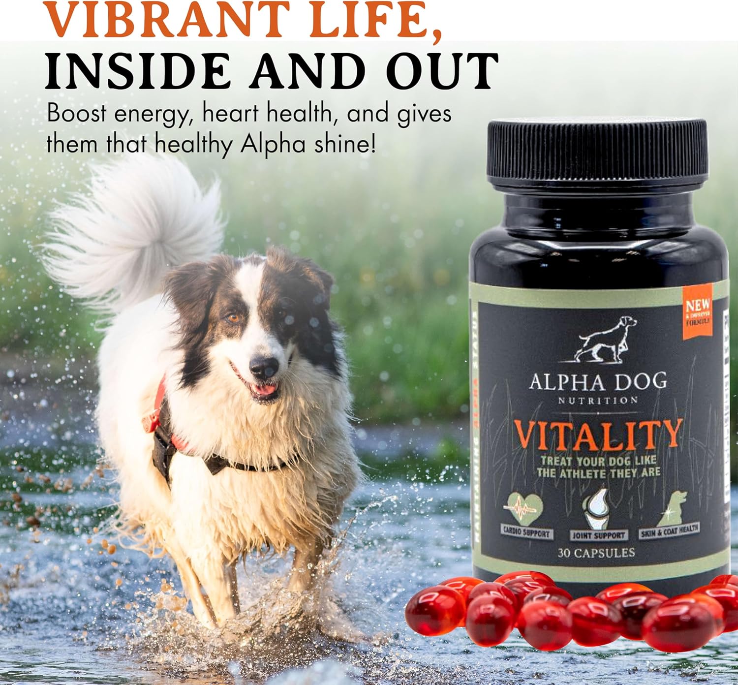 Alpha Dog Nutrition's Vitality Krill Oil for Dogs: Reduces Allergies, Itchiness, & Shedding - Supports Healthy Skin & Coat