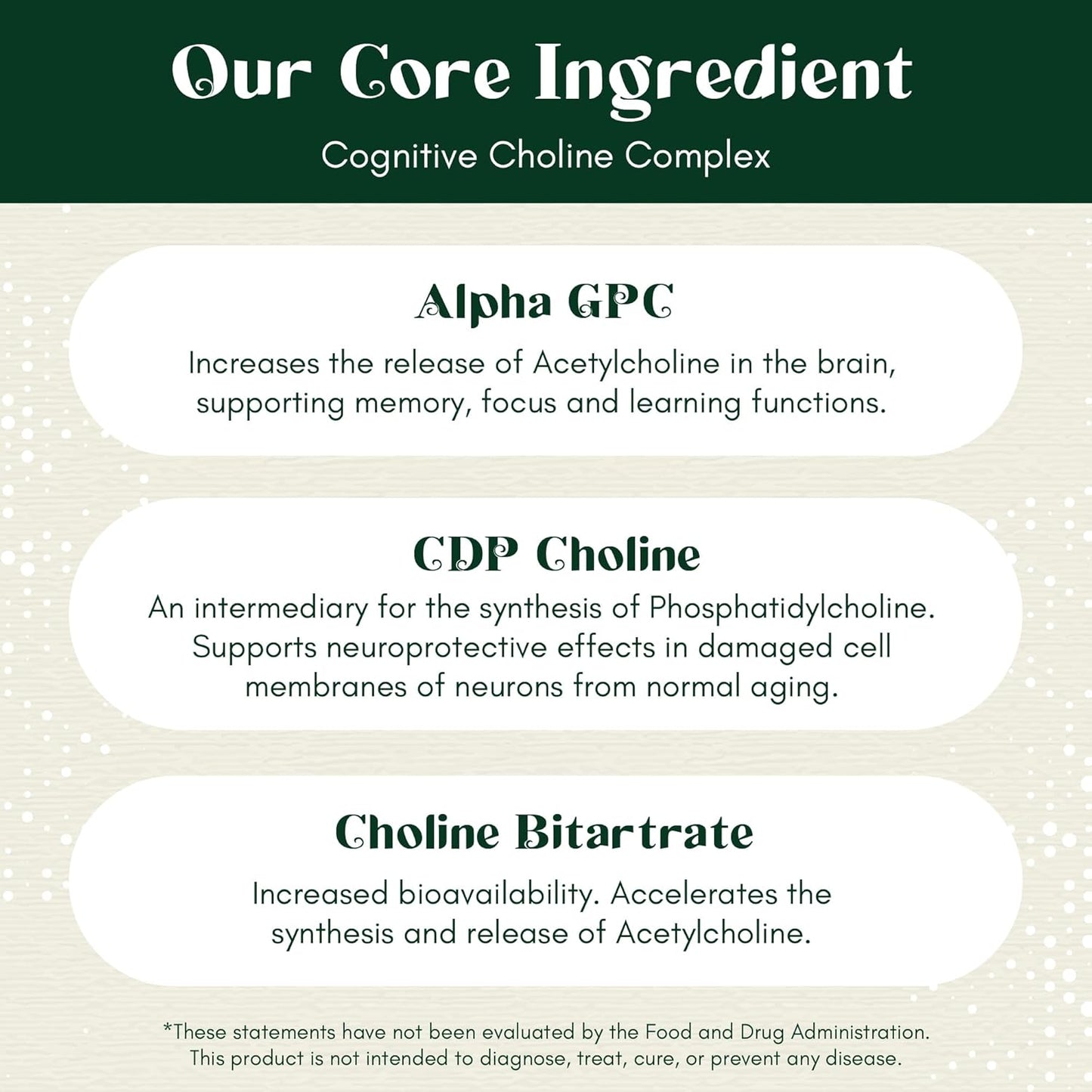 Alpha Focus Nootropic Supplement for Memory and Focus - 60 Capsules with Choline, Citicoline, GPC, L-Tyrosine, Bacopa Monnieri, DMAE, Gingko Biloba, Lion's Mane, Niacinamide