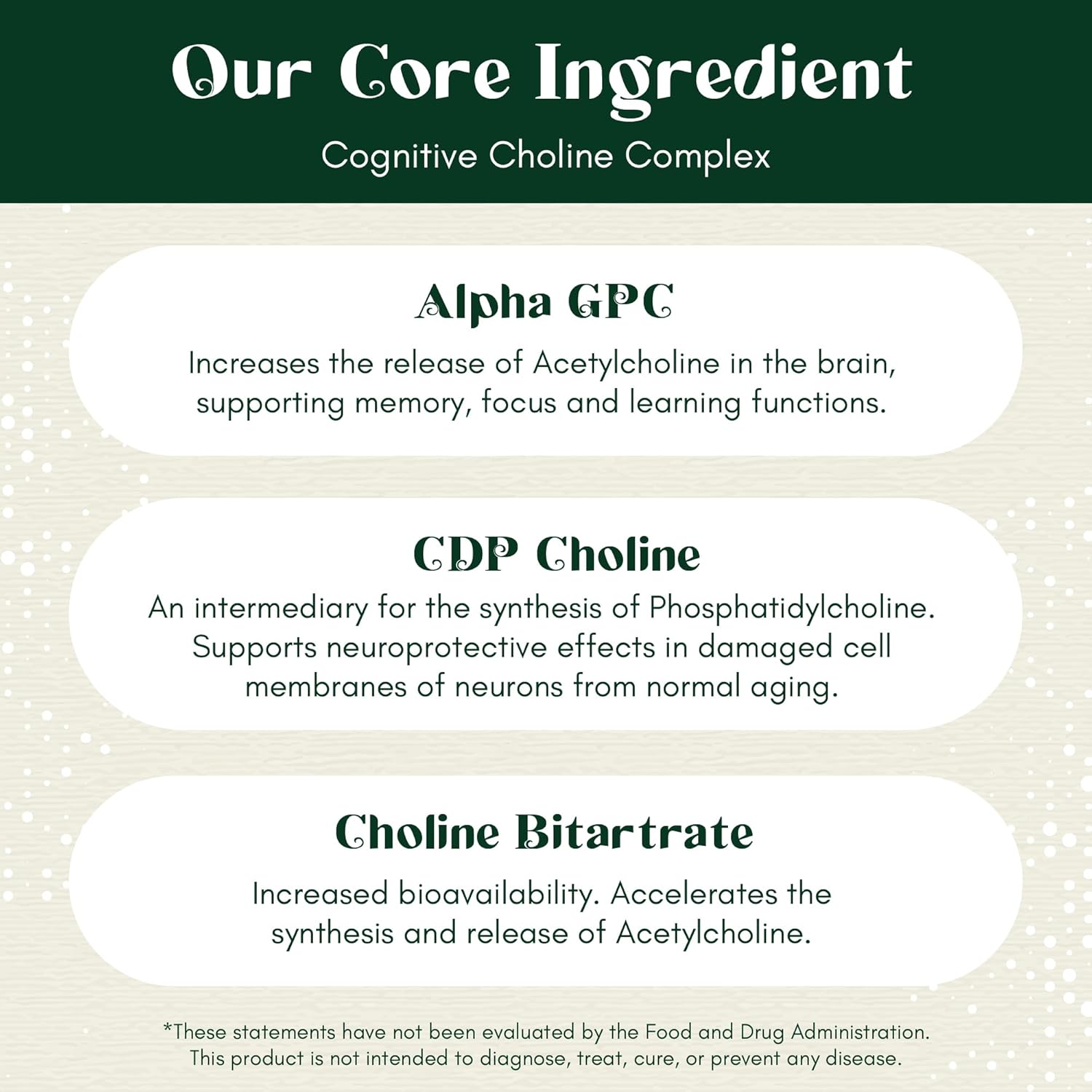 Alpha Focus Nootropic Supplement for Memory and Focus - 60 Capsules with Choline, Citicoline, GPC, L-Tyrosine, Bacopa Monnieri, DMAE, Gingko Biloba, Lion's Mane, Niacinamide