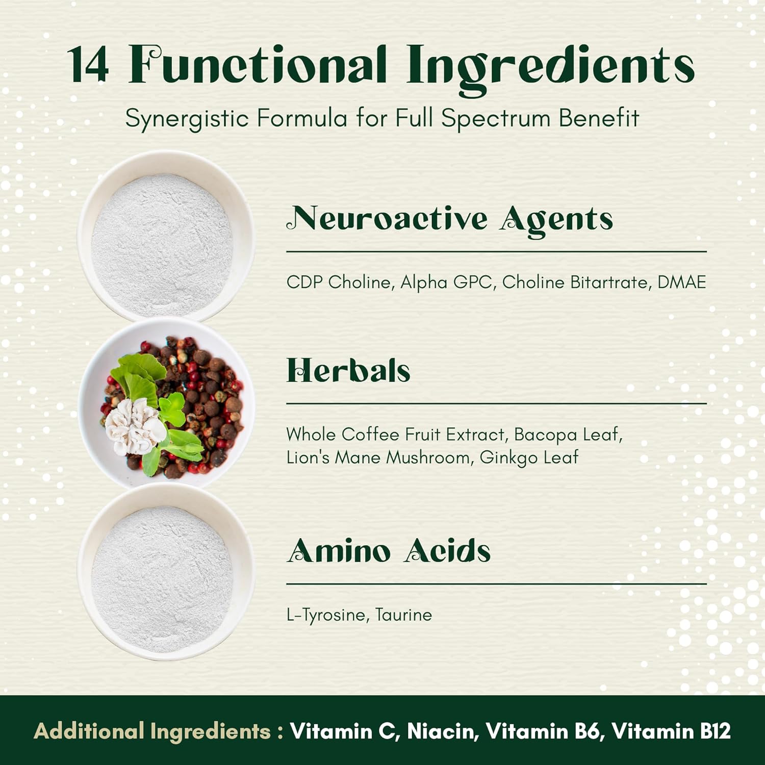 Alpha Focus Nootropic Supplement for Memory and Focus - 60 Capsules with Choline, Citicoline, GPC, L-Tyrosine, Bacopa Monnieri, DMAE, Gingko Biloba, Lion's Mane, Niacinamide