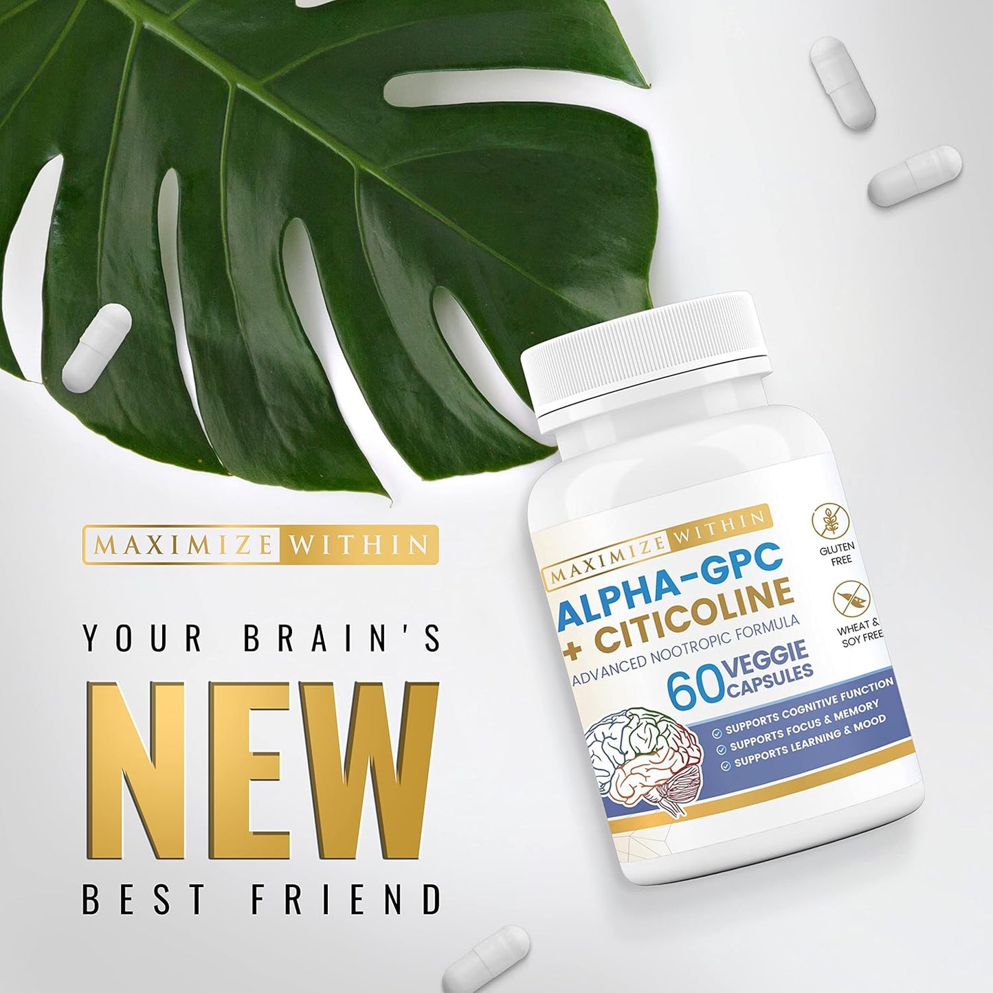 Alpha GPC + Citicoline 1600mg Nootropic Concentrated Formula for Memory, Focus, Mood & Energy - 60 Ct, 99% Pure & Bioavailable