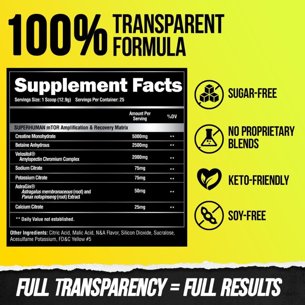 Alpha Lion Superhuman Post Workout Powder - Muscle Builder Drink with Creatine Monohydrate for Lean Muscle Growth, Strength & Volume - Supplement for Women & Men (25 Servings, Muscle Marg)