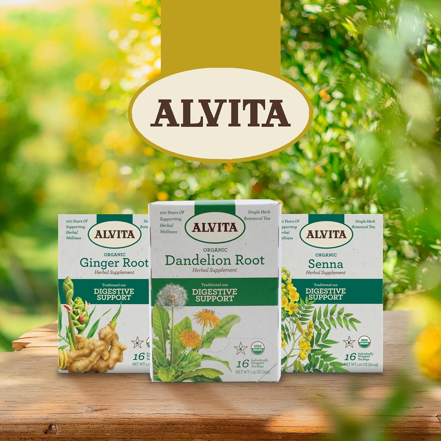 ALVITA Organic Nettle Tea - Herbal Stinging Nettle Leaf Tea for Cleansing, Detox, and Joint Health Support - 48 Tea Bags (3 Pack)