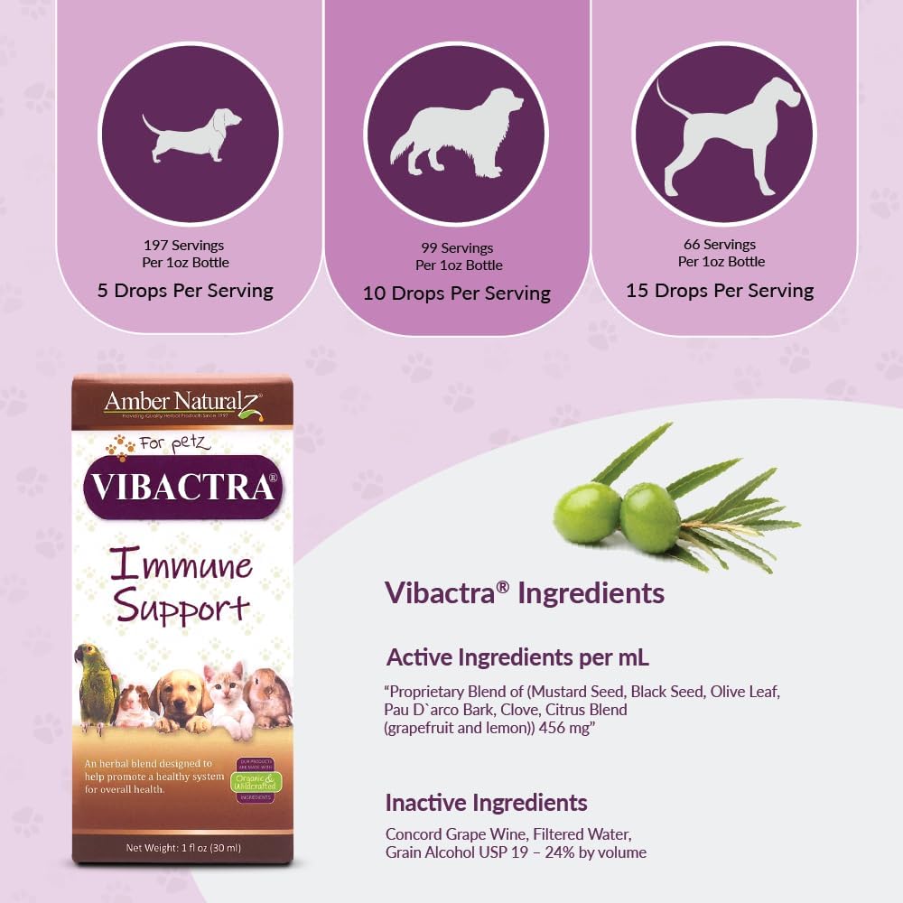 Amber NaturalZ Vibactra Herbal Supplement for Pets | Immune Support for Dogs, Cats, Birds, Guinea Pigs, and Rabbits | 1oz Glass Bottle | Made in USA