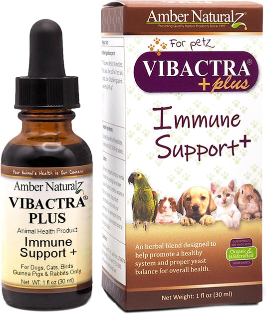 Amber NaturalZ Vibactra Plus Herbal Supplement for Pets | Immune Support and Yeast Balance | 1 oz Glass Bottle | Made in USA