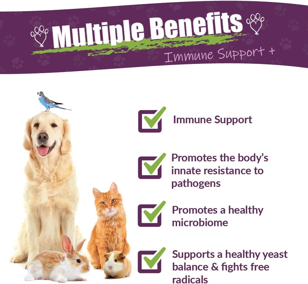 Amber NaturalZ Vibactra Plus Herbal Supplement for Pets | Immune Health Support | 4oz Glass Bottle | Made in USA